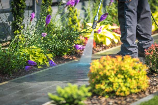 Best Patio and Deck Pressure Washing  in Wtell, LA